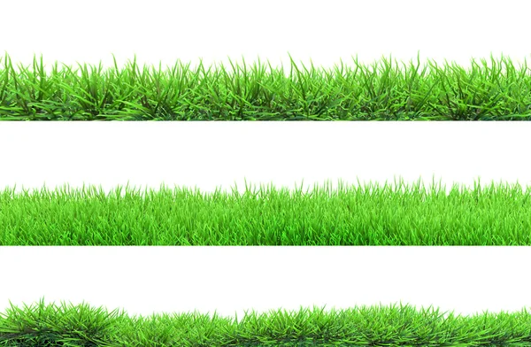 Gras geïsoleerd — Stockfoto