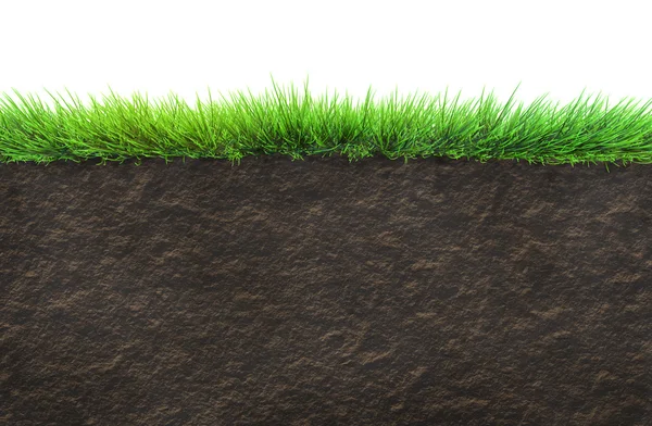 Grass and soil — Stock Photo, Image