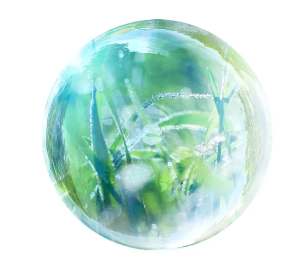 Hierba en burbuja de vidrio — Foto de Stock