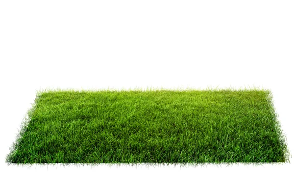 Grass in field — Stock Photo, Image