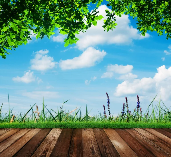 Zomer achtergrond — Stockfoto