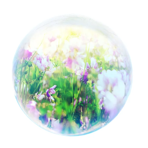 Flowers in bubble — Stock Photo, Image