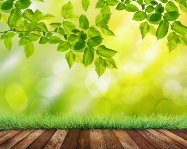 Yaz Bahçe arka plan