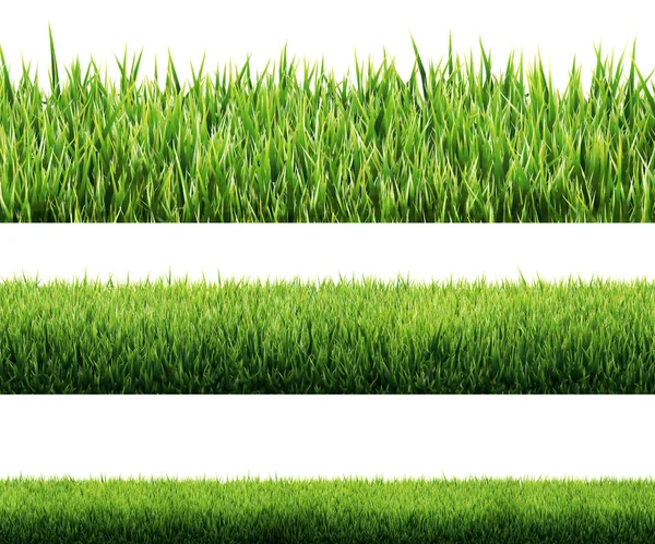 Grass isolated — Stock Photo, Image