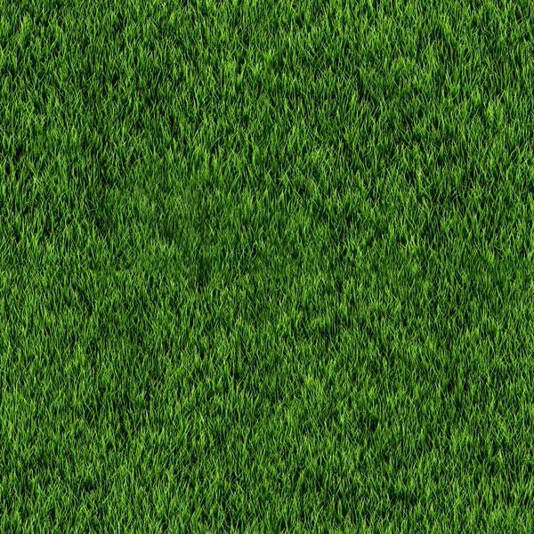 Seamless grass texture — Stock Photo, Image