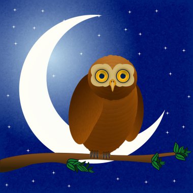 gece baykuş 
