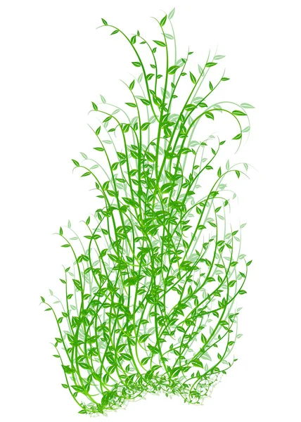 Primavera en vector verde — Vector de stock