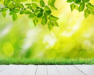 Yaz Bahçe arka plan