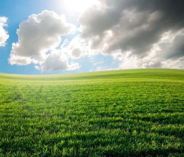 Zomer landschap — Stockfoto