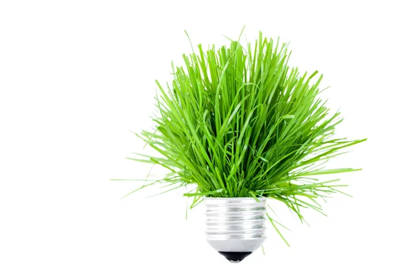 Green energy — Stock Photo, Image