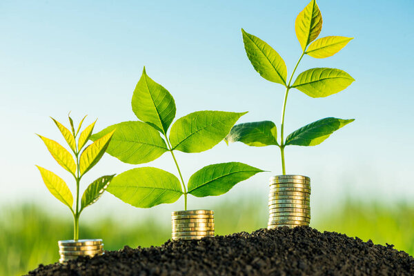 Концепция инвестиционного роста