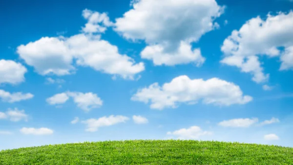 青い空と夏の緑のフィールド牧歌的な風景 — ストック写真