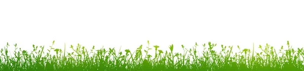 Grüne Blumen Und Gras Isoliert Auf Weißem Hintergrund Illustration — Stockfoto