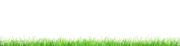 Green Grass Isolated White Background Illustration — Stock Photo, Image