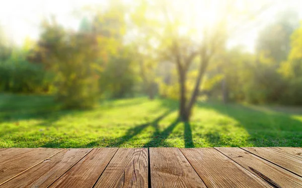 木制桌子和春季森林背景 — 图库照片