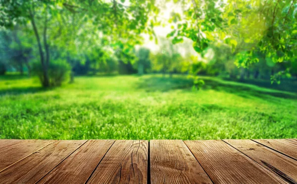 Wooden Table Spring Forest Background — Stock Photo, Image