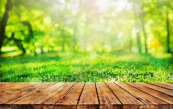 Wooden Table Spring Forest Background — Stock Photo, Image