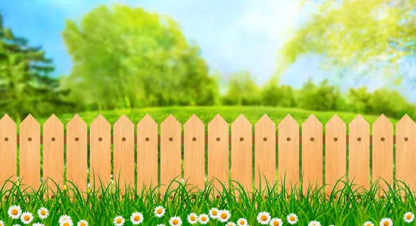 Zelené Pole Krajina Dvorku Květinami Sedmikrásky Dřevěným Laťkovým Plotem Ilustrace — Stock fotografie