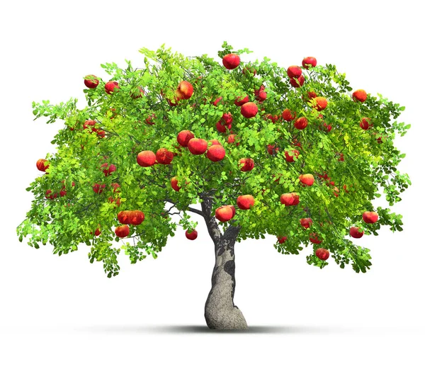 Manzano Rojo Aislado Ilustración —  Fotos de Stock