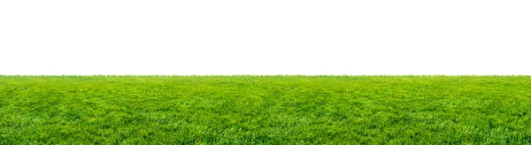 Green Grass Field Isolated White Background — Stock Photo, Image