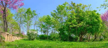 Baharda çimenli bahçeler ve çiçek açan ağaçlar