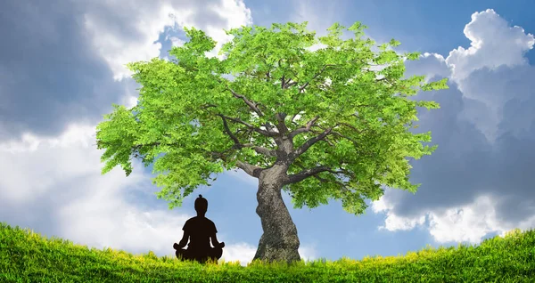 Alatt Meditáló Személy Sziluettje Jóga Zen Koncepció — Stock Fotó