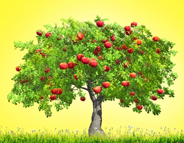 Red Apple Tree Yellow Background Grass — Stock Photo, Image