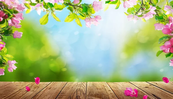 Frühlingsblumen Hintergrund Rosa Apfelblüten Auf Holztisch — Stockfoto