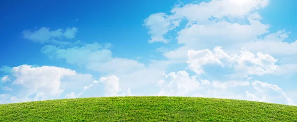 Wiosna Zielony Trawa Pole Krajobraz Błękitne Niebo Tło — Zdjęcie stockowe