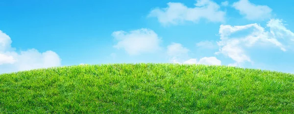 Vår Grönt Gräs Fält Landskap Och Blå Himmel Bakgrund — Stockfoto