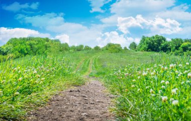 Toprak yolu olan doğal yeşil çayır manzarası. Yeşil yay tarlasında yol izleri
