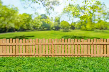 Arka bahçedeki ahşap bahçe çitleri ve parkta çimenler.