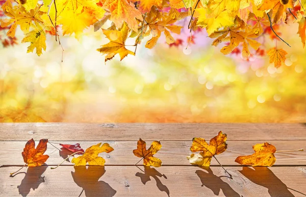 Sinaasappelherfst Bladeren Houten Vloer Herfst Natuurlijke Achtergrond Met Esdoorn Bomen — Stockfoto