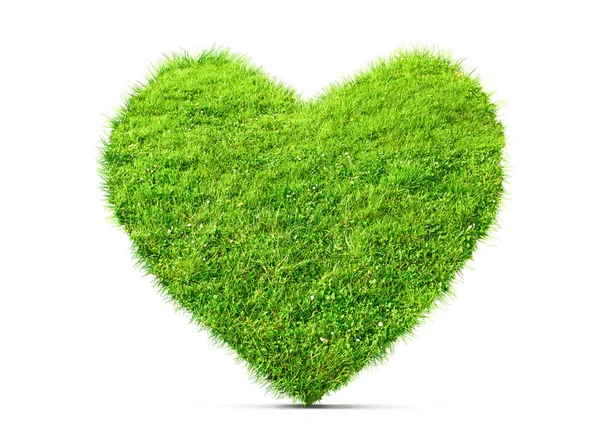 Green Leaves Heart Shape Isolated Illustration — Stock Photo, Image