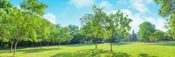 Panorama Park Garden Grass Lawn Green Trees Summer — Stock Photo, Image