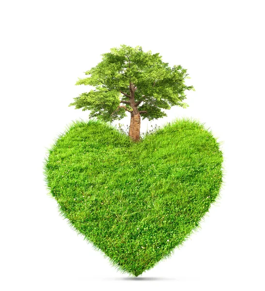 Herbe Verte Forme Coeur Arbre Isolé Illustration — Photo