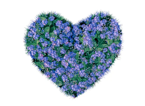 Blue Lilac Form Heart Isolated — Stock Photo, Image