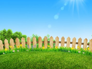 green grass and spring flowers at backyard and garden background