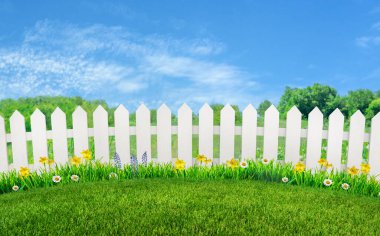 green grass and flowers at backyard and garden, rural landscape