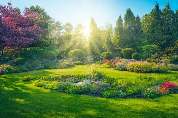 Красивый Весенний Сад Цветами Газонной Травой Иллюстрация — стоковое фото