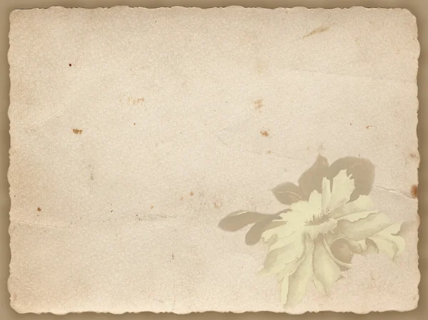 Vintage background with a transparent flower — Stock Photo, Image