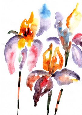 mor ve turuncu süsen