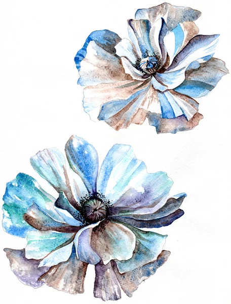 Pozadí s modrými květy — Stock fotografie