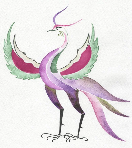 Fantastique oiseau est dessiné avec une aquarelle — Photo