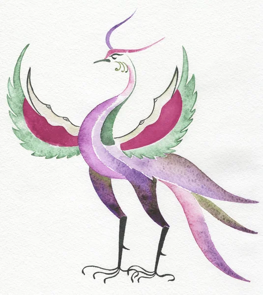 Fantastic bird is drawn with a water color