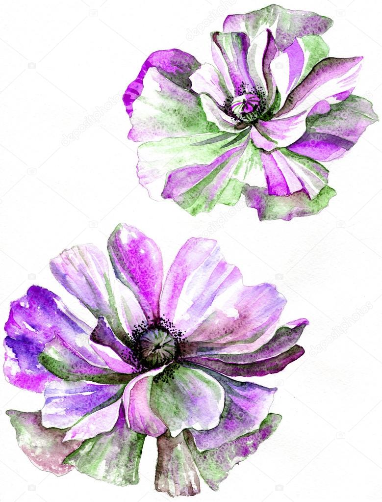 Background with a violet flowers