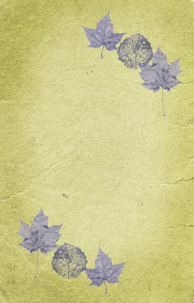 カエデの葉を持つヴィンテージのぼろぼろの背景 — ストック写真
