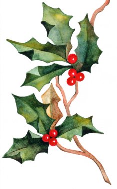elle çizilmiş Noel holly