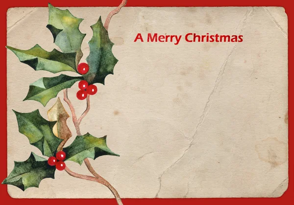 Фон с рождественской пуансетцией — стоковое фото