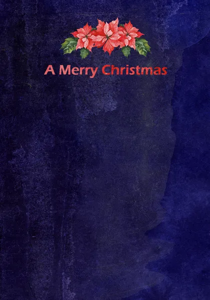 Tło z Boże Narodzenie poinsettia — Zdjęcie stockowe
